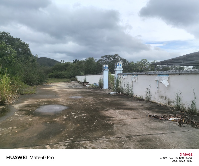 【司法拍卖】五指山103亩住宅用地三拍